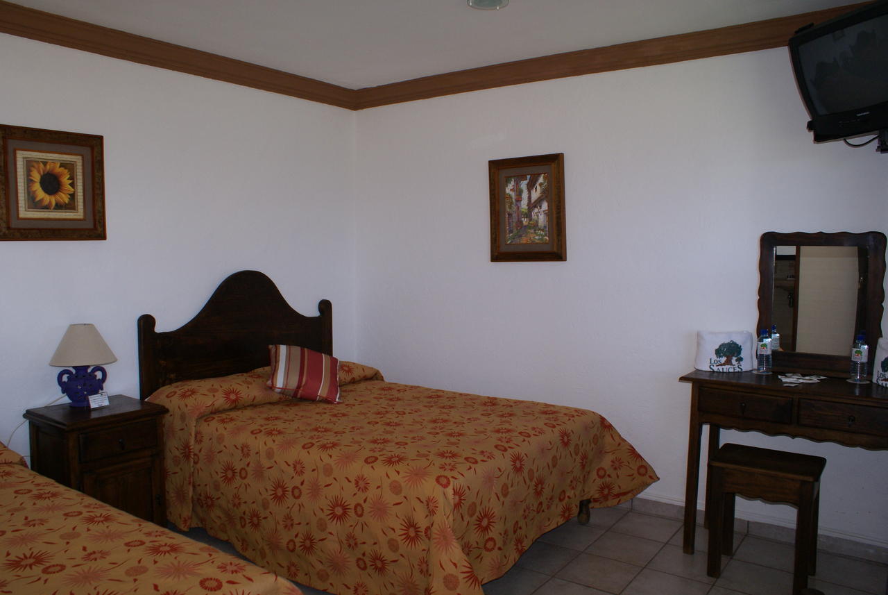 Hotel Los Sauces 卡尔波镇 客房 照片